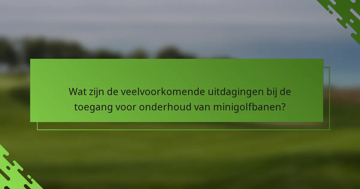 Wat zijn de veelvoorkomende uitdagingen bij de toegang voor onderhoud van minigolfbanen?